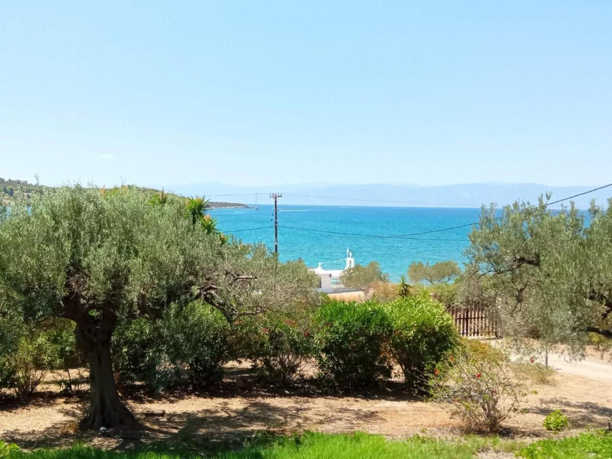 Votsalo Summer House By The Beach Porto Heli Exterior photo