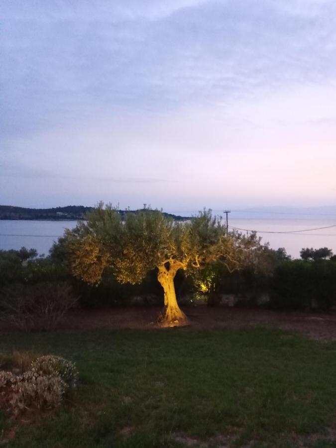 Votsalo Summer House By The Beach Porto Heli Exterior photo